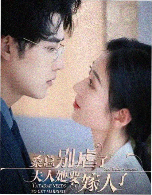 雾港迷局剧集海报